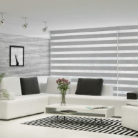 blindall-zebra-blinds-cover